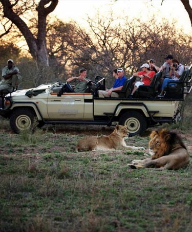 road tr Kapama-Private-Game-Reserve-02